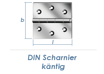 40 x 40mm Scharnier Edelstahl (1 Stk.)