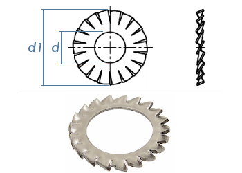13,0mm Fächerscheiben Form AZ  DIN6798 Edelstahl A2 (10 Stk.)