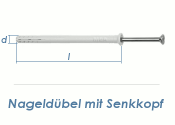 8 x 80mm Nageld&uuml;bel m. Senkkopf Edelstahl A2 (1 Stk.)