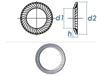M5 Schnorr® Sicherungsscheibe Typ S verzinkt (100 Stk.)