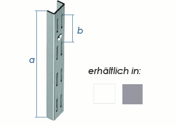 2000 x 50mm Wandschiene 2-reihig aluweiss (1 Stk.)