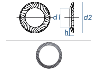 M10 Schnorr® Sicherungsscheibe Typ S rostbeständig (10 Stk.)