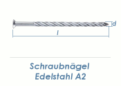 3,1 x 45mm Schraubn&auml;gel Edelstahl A2 (10 Stk.)