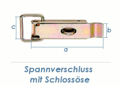 93 x 24mm Spannverschluss mit Schlossöse verzinkt (1...