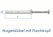 6 x 40mm Nageld&uuml;bel m. Flachkopf Edelstahl A2 (10 Stk.)