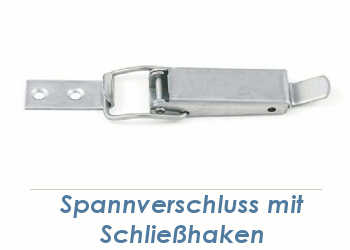 https://www.schraubenking.at/media/image/product/35766/md/102-x-165mm-spannverschluss-edelstahl-inkl-schliesshaken-p008708.png