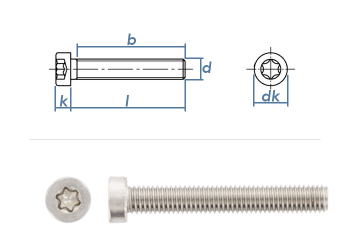 M2 x 4mm Zylinderschrauben TX niedriger Kopf  ISO14580 Edelstahl A2 (10 Stk.)