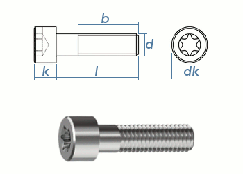M2 x 8mm Zylinderschrauben TX niedriger Kopf  ISO14580 Edelstahl A2 (10 Stk.)