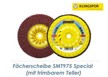 125mm Fächerscheibe K40 gewölbt 6° mit trimbarem Grundteller  - SMT975 Special (1 Stk.)