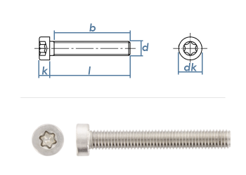 M6 x 30mm Zylinderschrauben TX niedriger Kopf  ISO14580 Edelstahl A2 (10 Stk.)