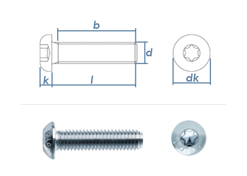 M8 x 30mm Linsenflachkopfschraube TX ISO7380-1 Stahl verzinkt FKL10.9 (10 Stk.)