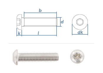 M6 x 40mm Linsenflachkopfschraube TX ISO7380-1 Edelstahl A2 (10 Stk.)