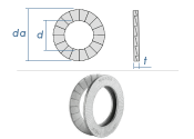 M10 Nord-Lock® Keilsicherungsscheibe NL verzinkt (1...