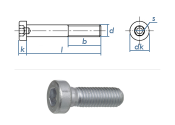 M6 x 12mm Zylinderschraube niedriger Kopf DIN6912 Stahl...
