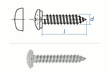 3,9 x 38mm Kappenschrauben Linsenkopf verzinkt ähnlich  DIN7981  (100 Stk.)