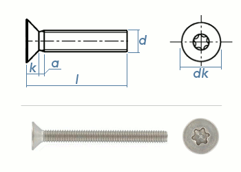 M4 x 6mm Senkschrauben TX ISO14581 Edelstahl A2  (100 Stk.)