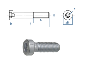 M4 x 20mm Zylinderschraube DIN6912 Stahl verzinkt FKL 8.8...