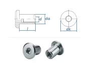 M6 x 12 x 15mm Rundmutter verzinkt (10 Stk.)